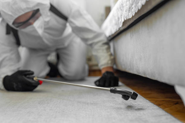 Professional Termite Control technician working in Fort Oglethorpe, GA