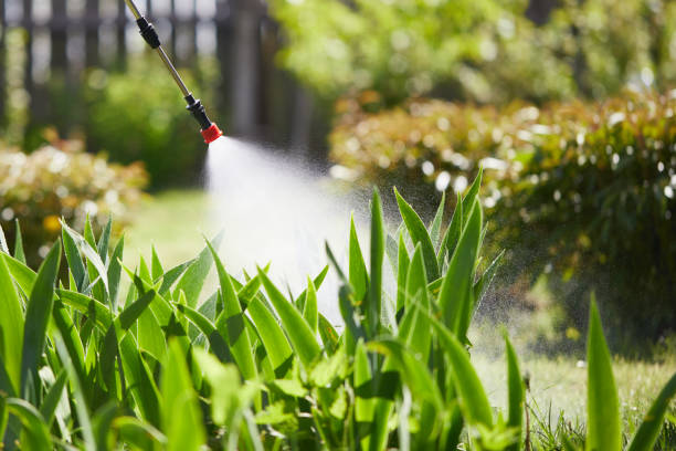 24/7 Emergency Termite Control experts in Fort Oglethorpe, GA