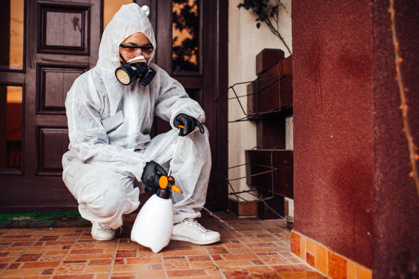 Reliable Termite Control contractor in Fort Oglethorpe, GA by Nex Pest Control